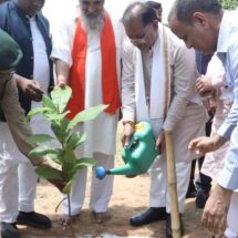 CM Vishnu Dev Sai Launches Tree Plantation Drive on World Environment Day