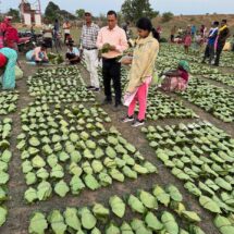 Chief Minister to Launch State-wide Charan Paduka Scheme on June 21