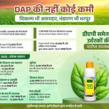 No Fertilizer Shortage in Chhattisgarh: Ample Stock of Nano DAP, NPK, and SSP to Bridge DAP Gap