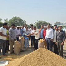 Statewide Paddy Procurement Commences in Chhattisgarh