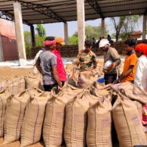 Paddy Procurement Drive Gains Strong Momentum in Chhattisgarh; Illegal Inflow Curbed with Large-Scale Seizures
