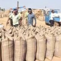 Chhattisgarh Paddy Procurement Gains Momentum: 87 Lakh Tonnes Procured, Rs 7,771 Crore Paid to Farmers