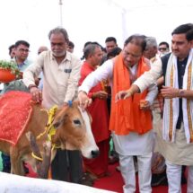 Chhattisgarh launches Gaudham Yojana; 29 cattle shelters inaugurated across 11 districts