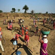 Chhattisgarh emerges as one of the leading states in MGNREGA implementation