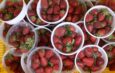 Jashpur Farmers Shift Towards Horticulture and Cash Crops, Apple Cultivation Gains Momentum