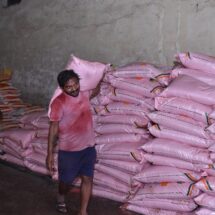 Rajnandgaon Records 34% Rise in Fertilizer Availability Ahead of Kharif Season